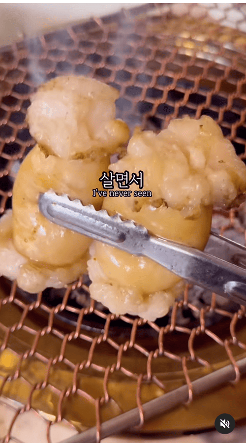 우곱집 릴스